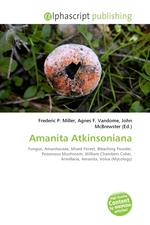 Amanita Atkinsoniana