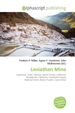 Leviathan Mine