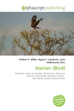 Harrier (Bird)