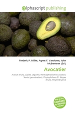 Avocatier