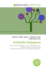 Actinidia Polygama