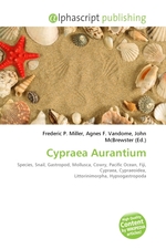 Cypraea Aurantium