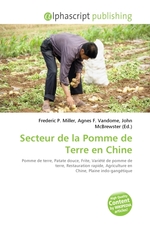 Secteur de la Pomme de Terre en Chine