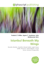 Istanbul beneath my wings