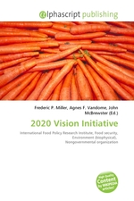 2020 Vision Initiative
