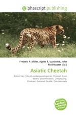 Asiatic Cheetah