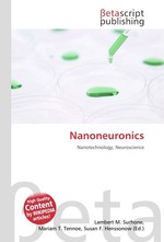 Nanoneuronics