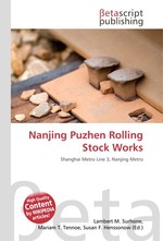 Nanjing Puzhen Rolling Stock Works