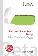 Pulp and Paper Merit Badge