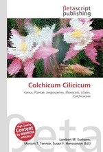 Colchicum Cilicicum