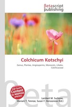 Colchicum Kotschyi