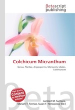 Colchicum Micranthum