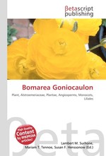 Bomarea Goniocaulon