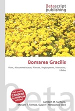 Bomarea Gracilis