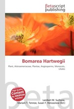 Bomarea Hartwegii