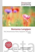 Bomarea Longipes