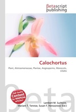 Calochortus