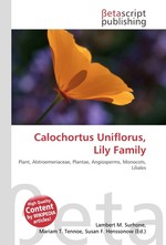 Calochortus Uniflorus, Lily Family