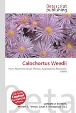 Calochortus Weedii