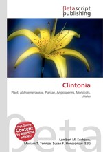 Clintonia