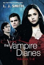 Vampire Diaries 4: Dark Reunion
