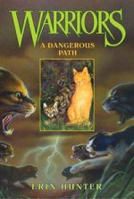 Warriors 5: Dangerous Path
