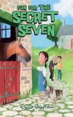 Secret Seven 15: Fun for Secret Seven