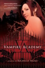 Vampire Academy v.1