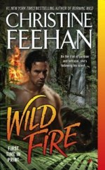 Wild Fire (Leopard)  (NY Times bestseller)