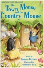 Town Mouse & Country Mouse   HB level 4