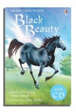 Black Beauty HB +D