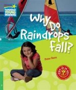 Why Do Raindrops Fall? L3 Factbook PB