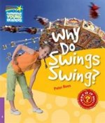 Why Do Swings Swng? L4 Factbook PB