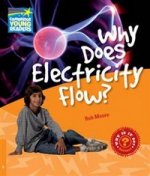 Why Electricity Flow? L6 Factbook PB