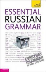 Essential Russian Grammar: Teach Yourself