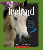 Ireland (True Books Geography)