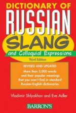 Dictionary of Russian Slang & Colloquial Expressions 3e