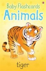 Animals - large format flashcards