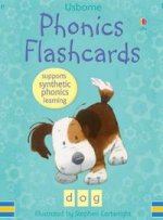 Phonics Flashcards  (48 cards)