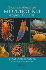 Заднежаберные моллюски морей России