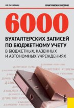 6000 бухгалтерских записей по бюджетному учету в бюджетных, казенных и автономных учреждениях