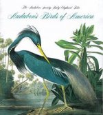 Audubons Birds Of America (Tiny Folio)