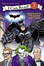 Dark Knight: Batmans Friends & Foes