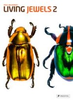 Living Jewels 2:Magical Des Beetle