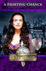 Merlin: Fighting Chance