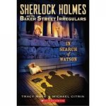 Sherlock Holmes & Baker Str. Irregulars vol.3