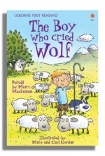 Boy Who Cried Wolf HB level 3