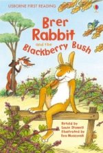 Brer Rabbit and Blackberry Bush HB level 2