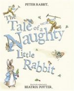 Tale of a Naughty Little Rabbit (PB) illustr