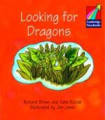 C Storybooks 1 Looking for Dragons